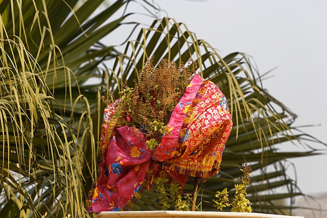 Keoladeo national park-167